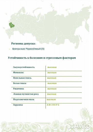 Семена подсолнечника нсх 6012 Express Sun