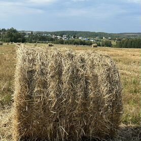 Солома в рулонах