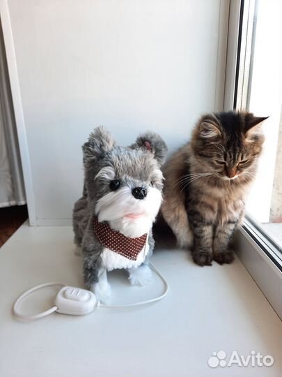 Интерактивная собака на поводке