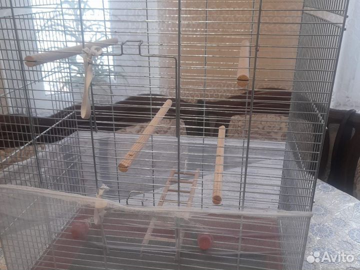 Клетка для попугая