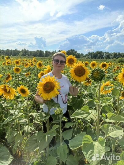 Зав.аптекой