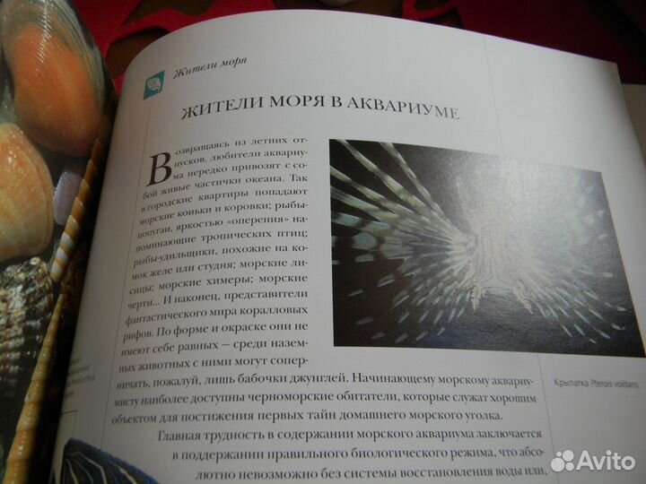 Книга Жители моря