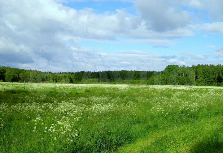 Участок 6 га (СНТ, ДНП)