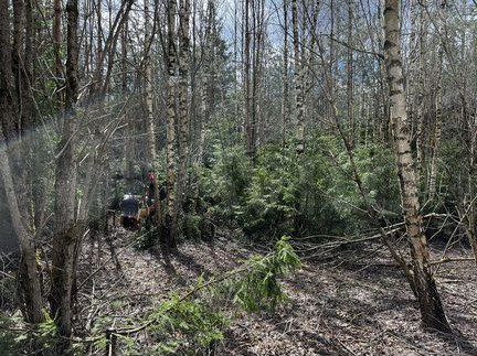 Участок 15 сот. (ИЖС)