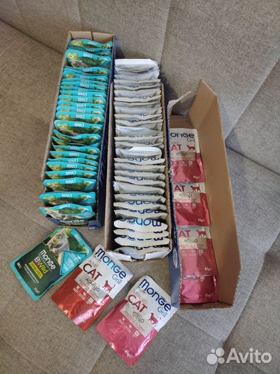 Monge влажный паучи для кошек