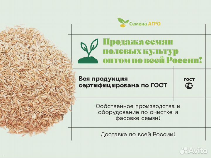 Полевица Побегоносная,семена от производителя опто