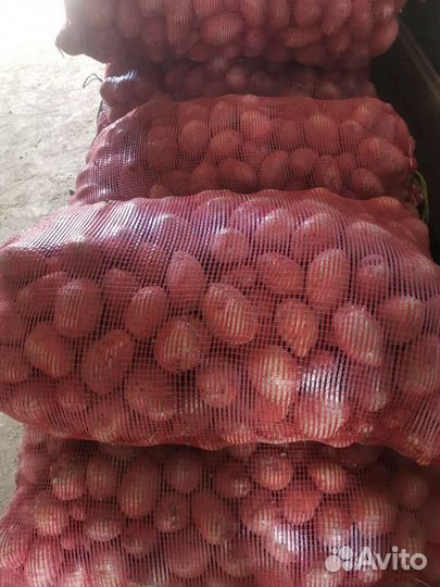 Продам картофель