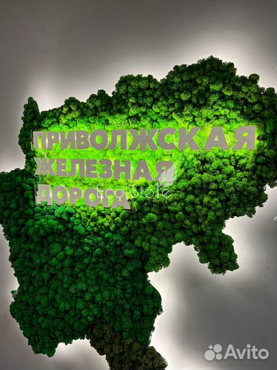 Карта со мхом для жд. Подсветка