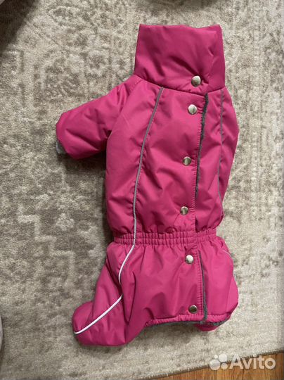 Комбинезоны для собаки 40 см (девочка) 4 шт