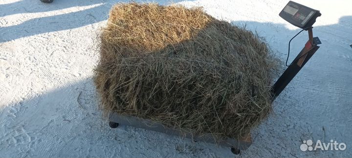 Сено в тюках