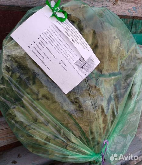 Веники для бани