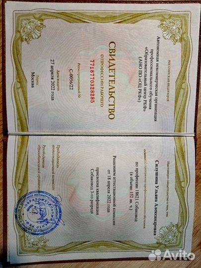 Услуги кинолога