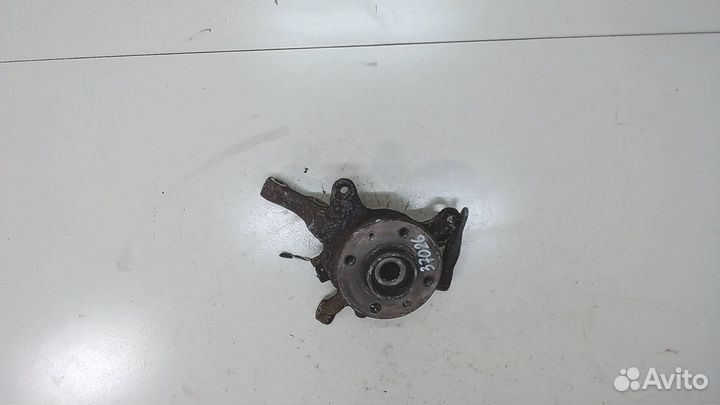 Ступица (кулак, цапфа) Renault Scenic, 1999