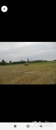 Сено в рулонах