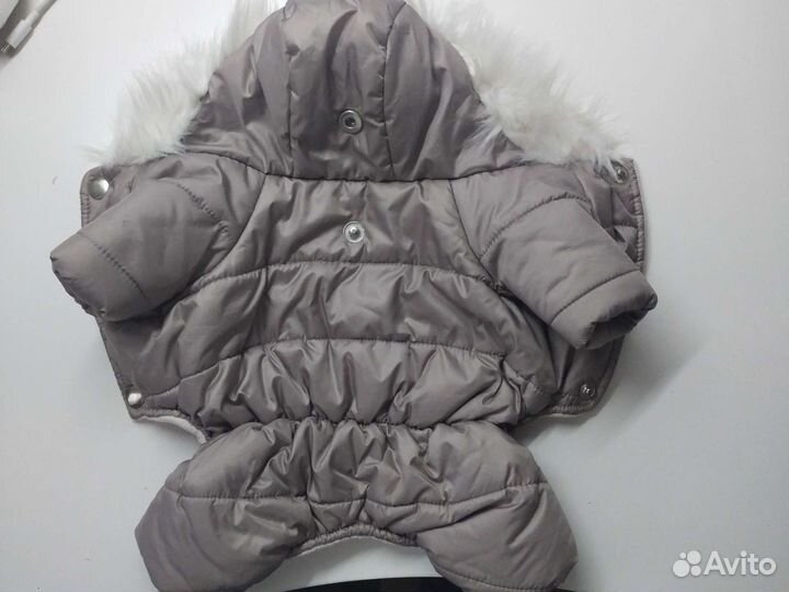 Комбинезон для маленькой собаки