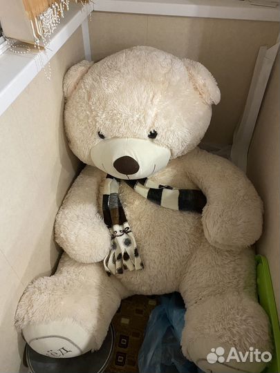 Плюшевый медведь