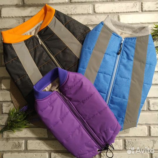 Одежда для собак