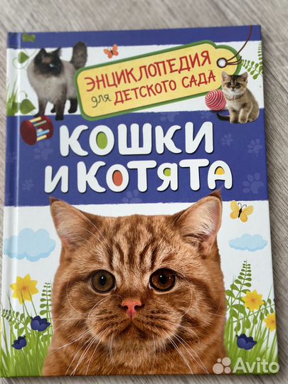 Детские энциклопедии,состояние новое, от 50 р