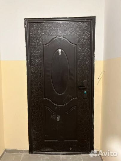 Дверь металлическая