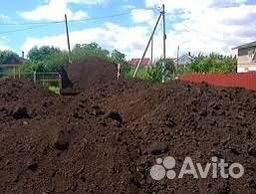 Новоз конский, Чернозем