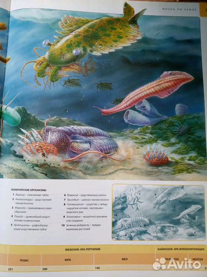 Книга для детей школьная энциклопедия