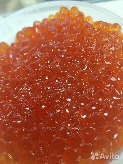 Самая вкусная рыба,креветка, крабы