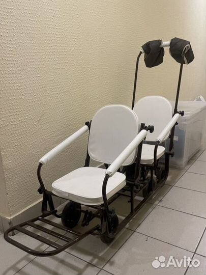 Сани для двойни