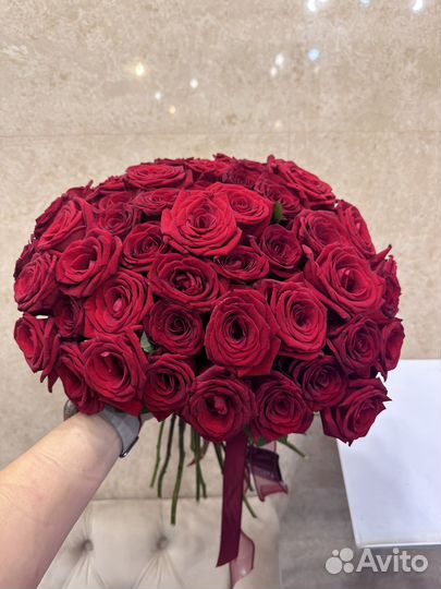 Роза красная белая розовая 101 151 55 71 доставка