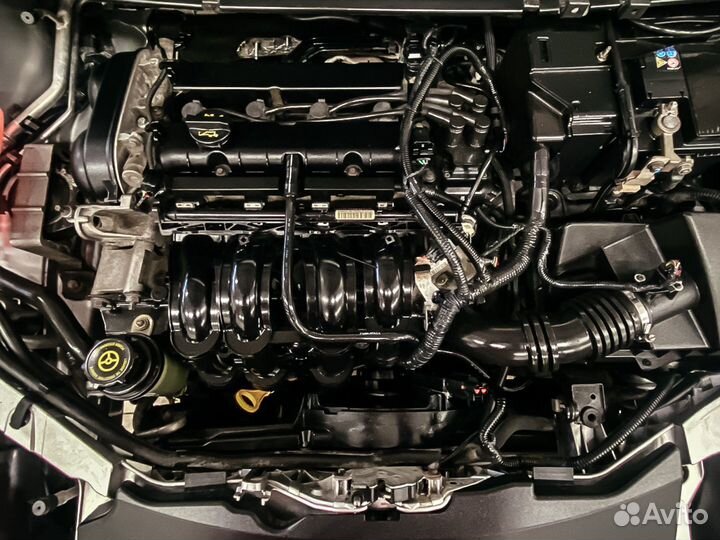 Ford Focus 1.6 МТ, 2006, 167 417 км