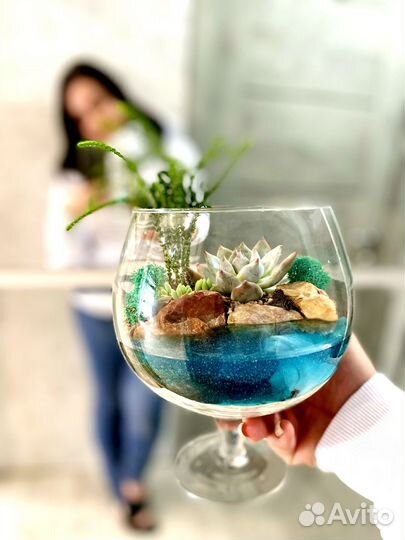 Флорариумы