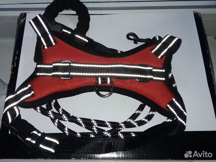 Шлейка и поводок для собаки