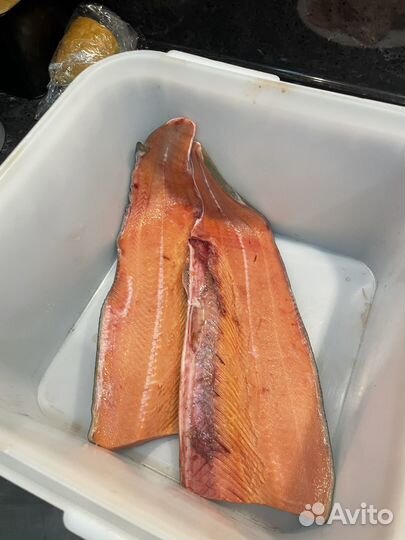 Кета осенняя псг (умз)