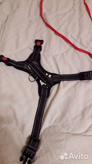 Шлейки и поводок