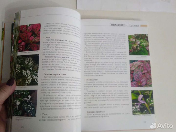 Книга Цветы