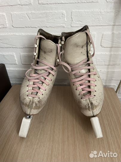 Коньки Edea chorus