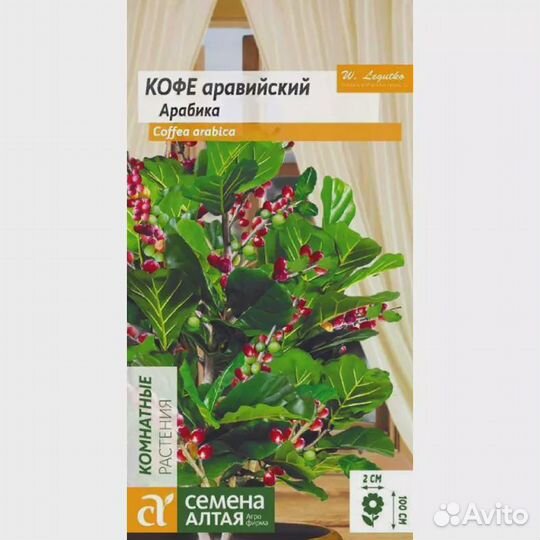 Кофе Арабика аравийская