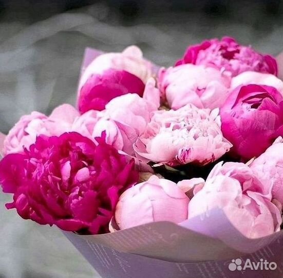 Пионы Букеты Цветы Доставка