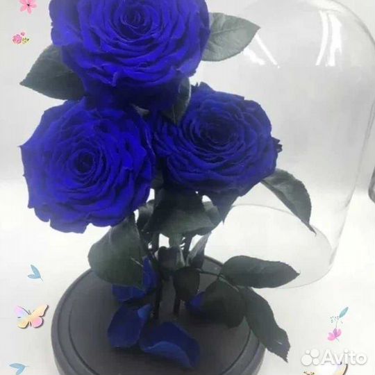 Роза в колбе