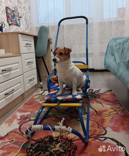 Санки детские