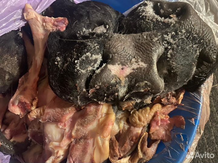 Корм для собак говяжий, губы, носы, шипы