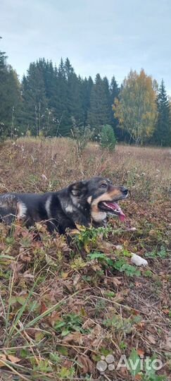 Помогите найти евочку