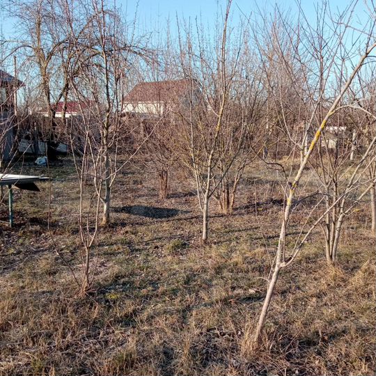 Участок 6 сот. (СНТ, ДНП)