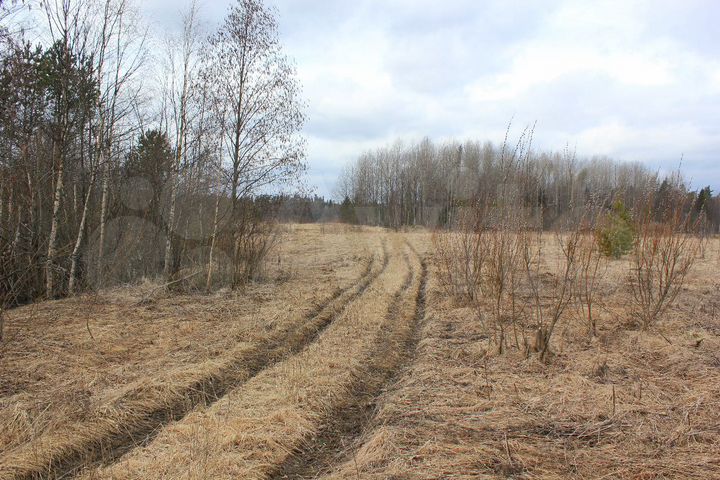 Участок 2,6 га (СНТ, ДНП)