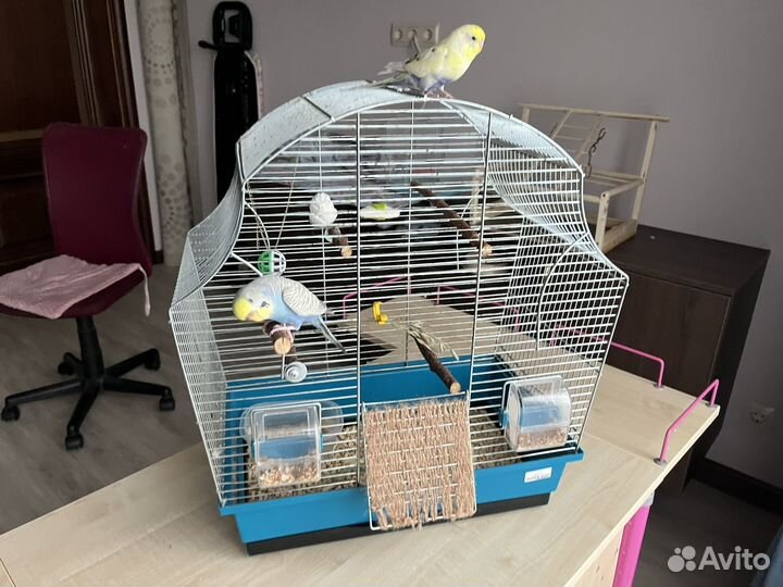 Клетка для попугая
