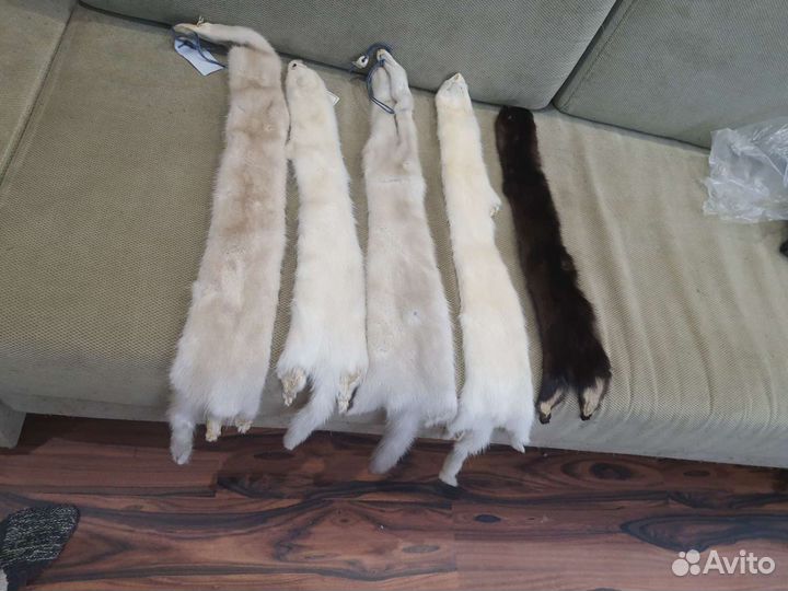 Шкурки норки