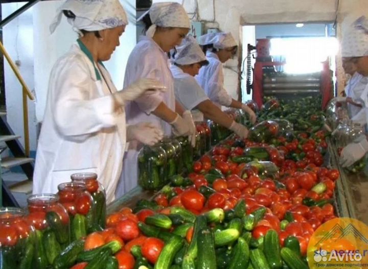 Упаковщицы. Вахта