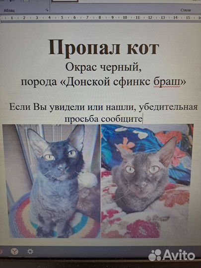 Донской сфинкс браш