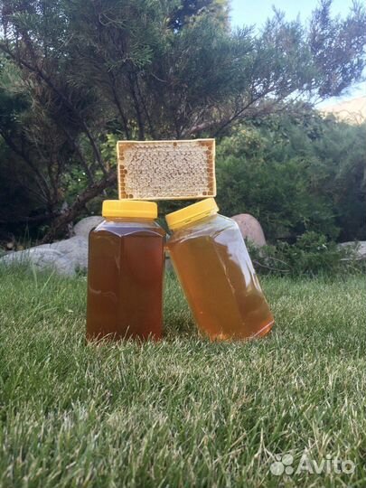 Мед Алтайский Ельцовский район Алт край собствен