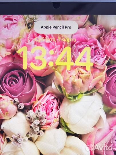 Apple Pencil pro 2024