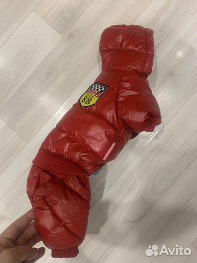 Комбинезон для собаки